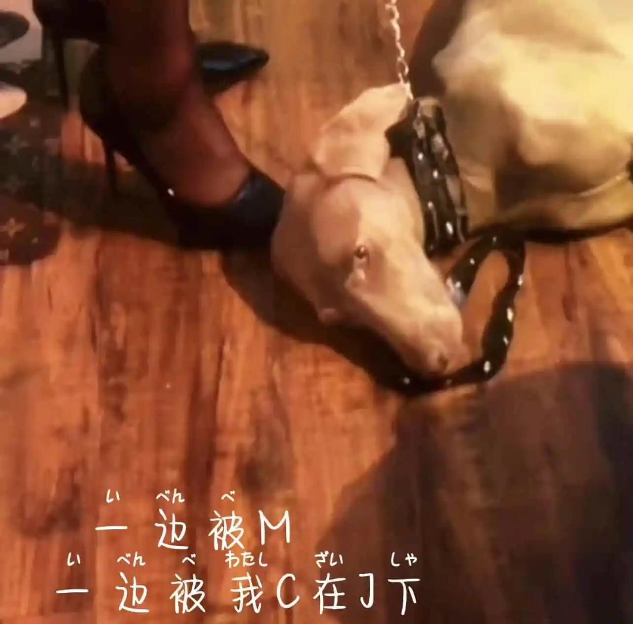 【西檬之家】字母圈新人入圈指南：理解BDSM的核心与术语