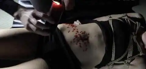【西檬之家】BDSM字母圈的DOM是什么意思？