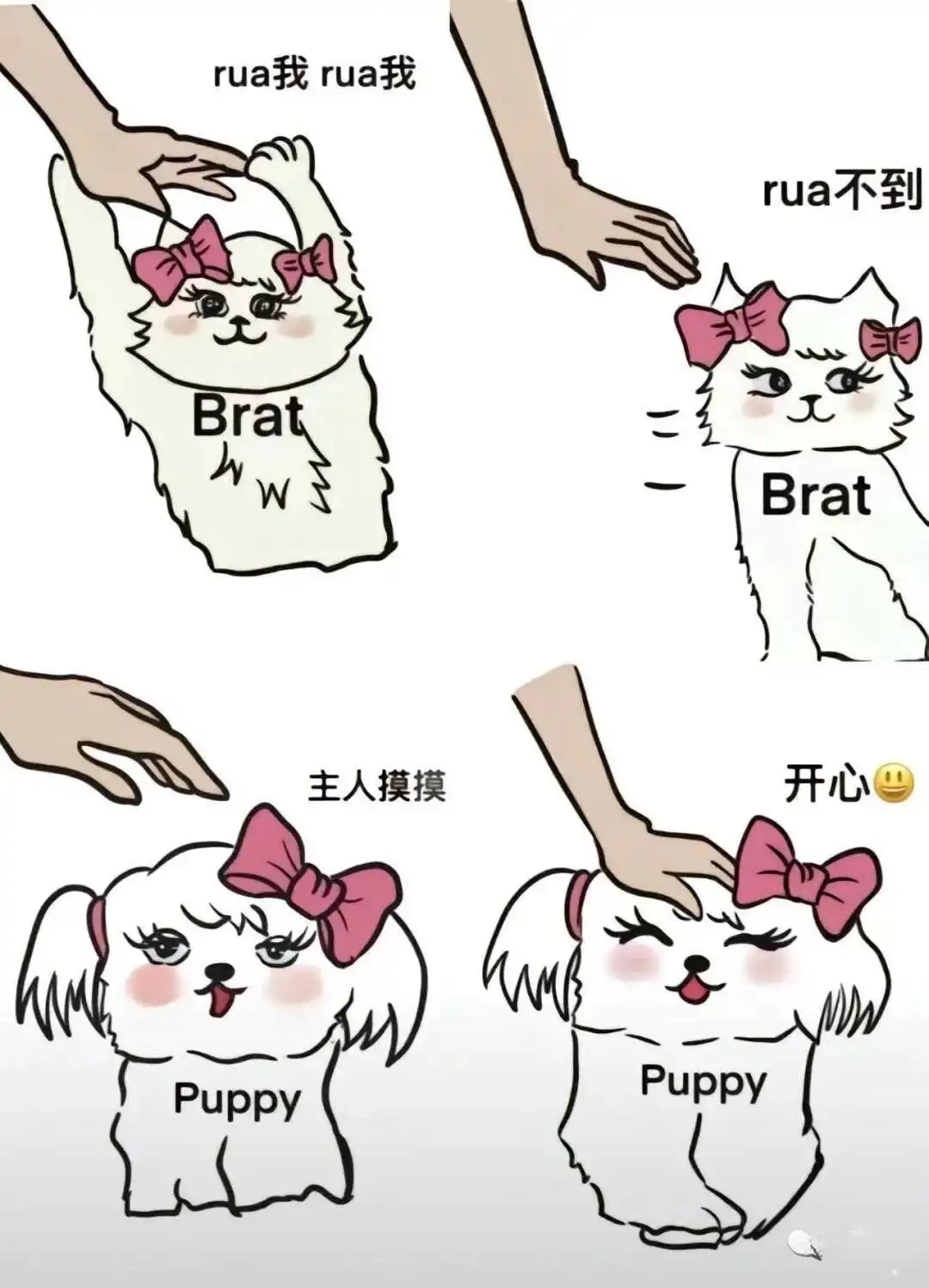 S倾向 - 2023_12_05_21_27_IMG_9363