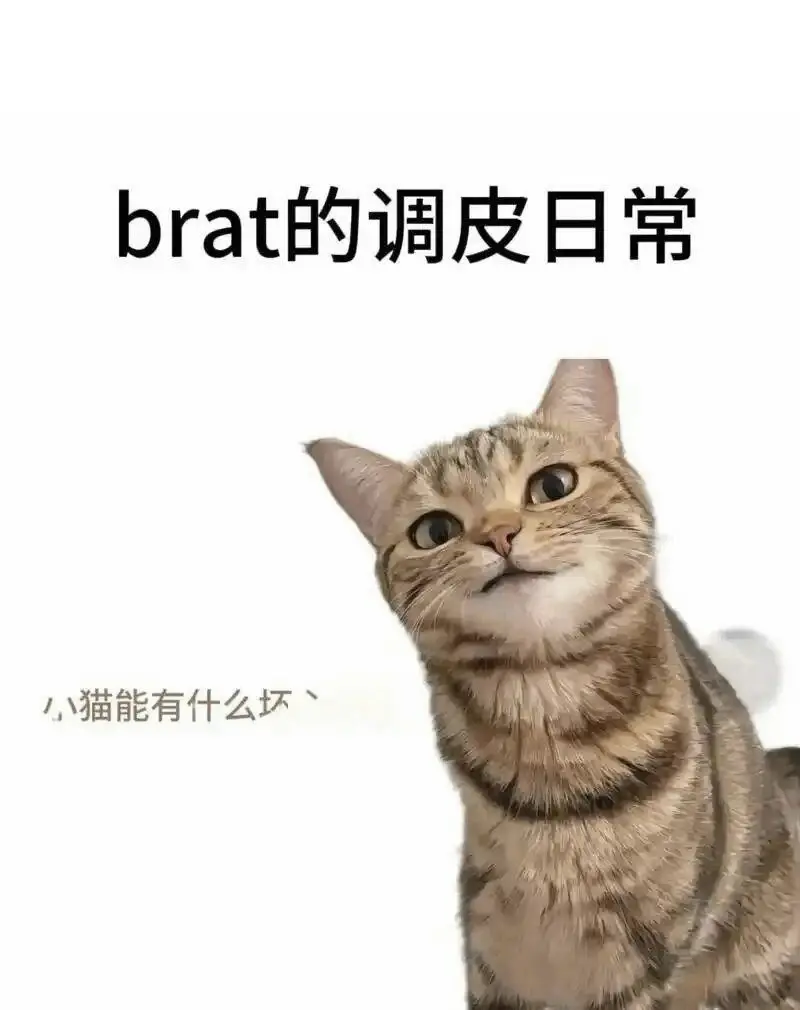 [西檬之家]-字母圈新人如何入圈？