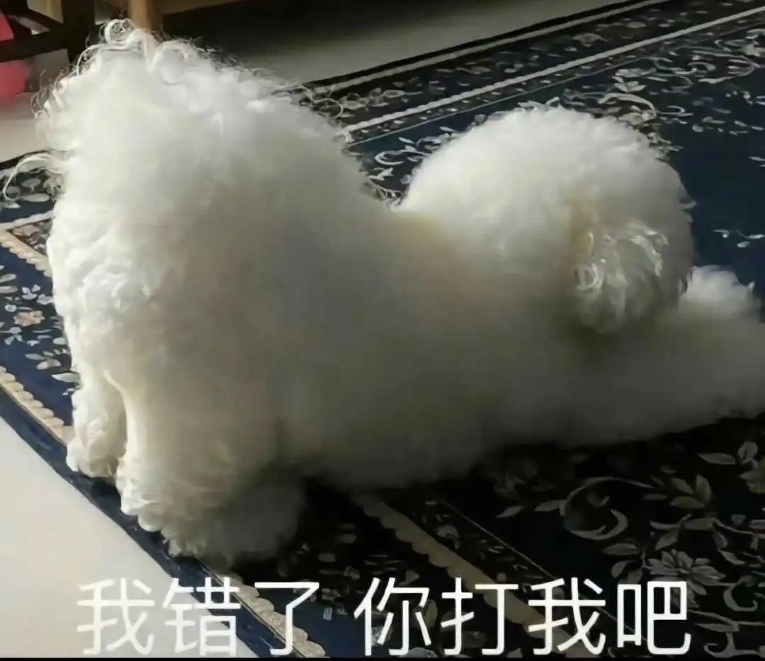 西檬之家-斯慕圈新人入圈指南：从基础知识到权力交换原则