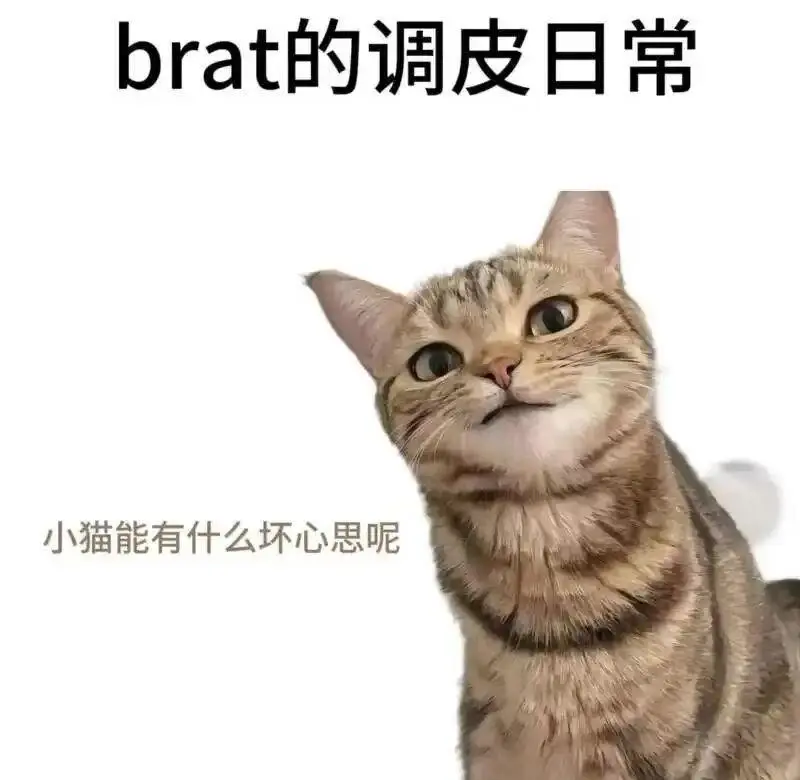 【西檬之家】字母圈的M是什么意思？——BDSM新人指南