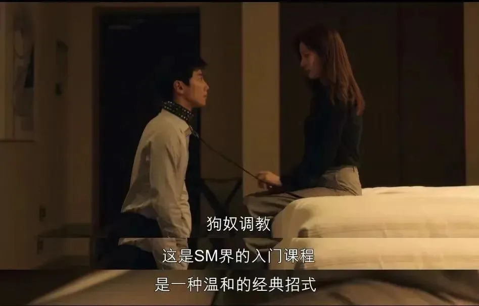 西檬之家-斯慕圈入门指南