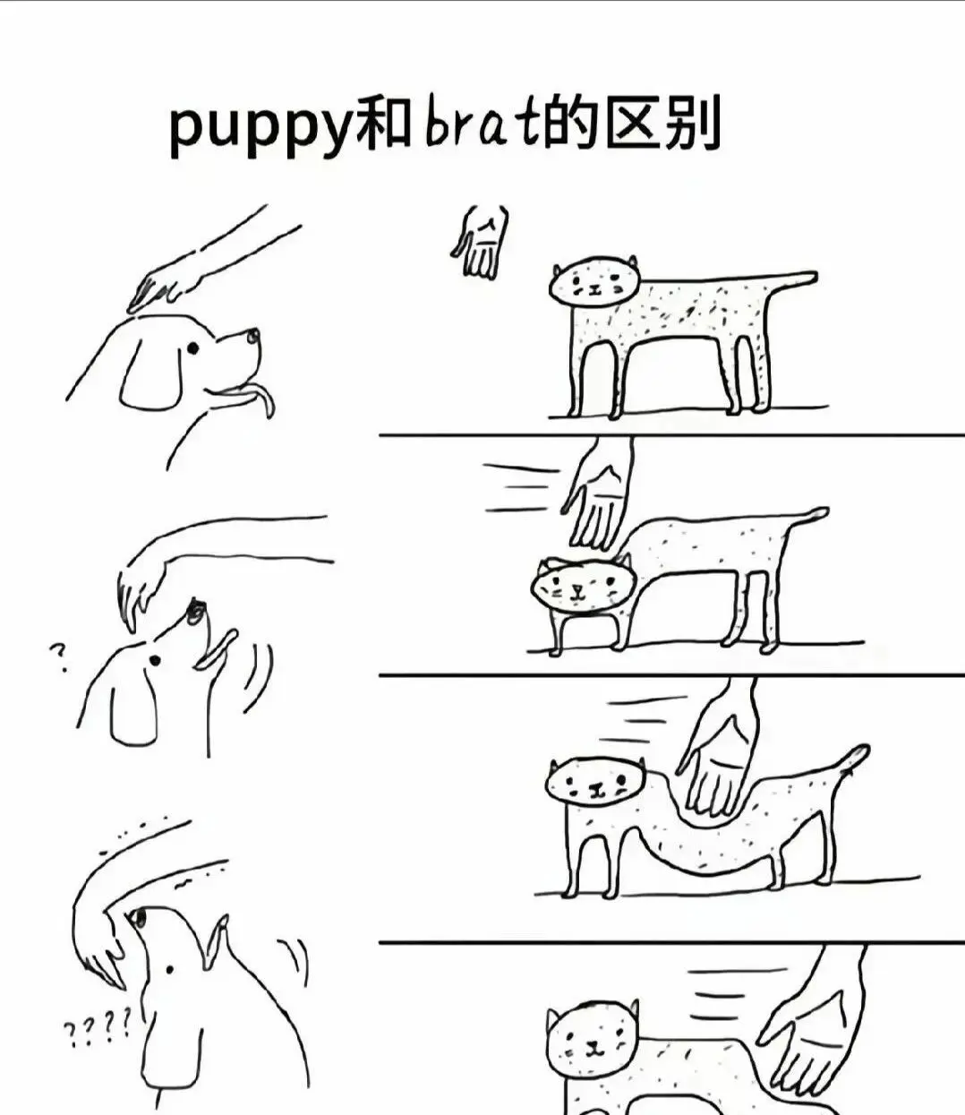 西檬之家-大圈新人入门指南：从基础术语到安全互动