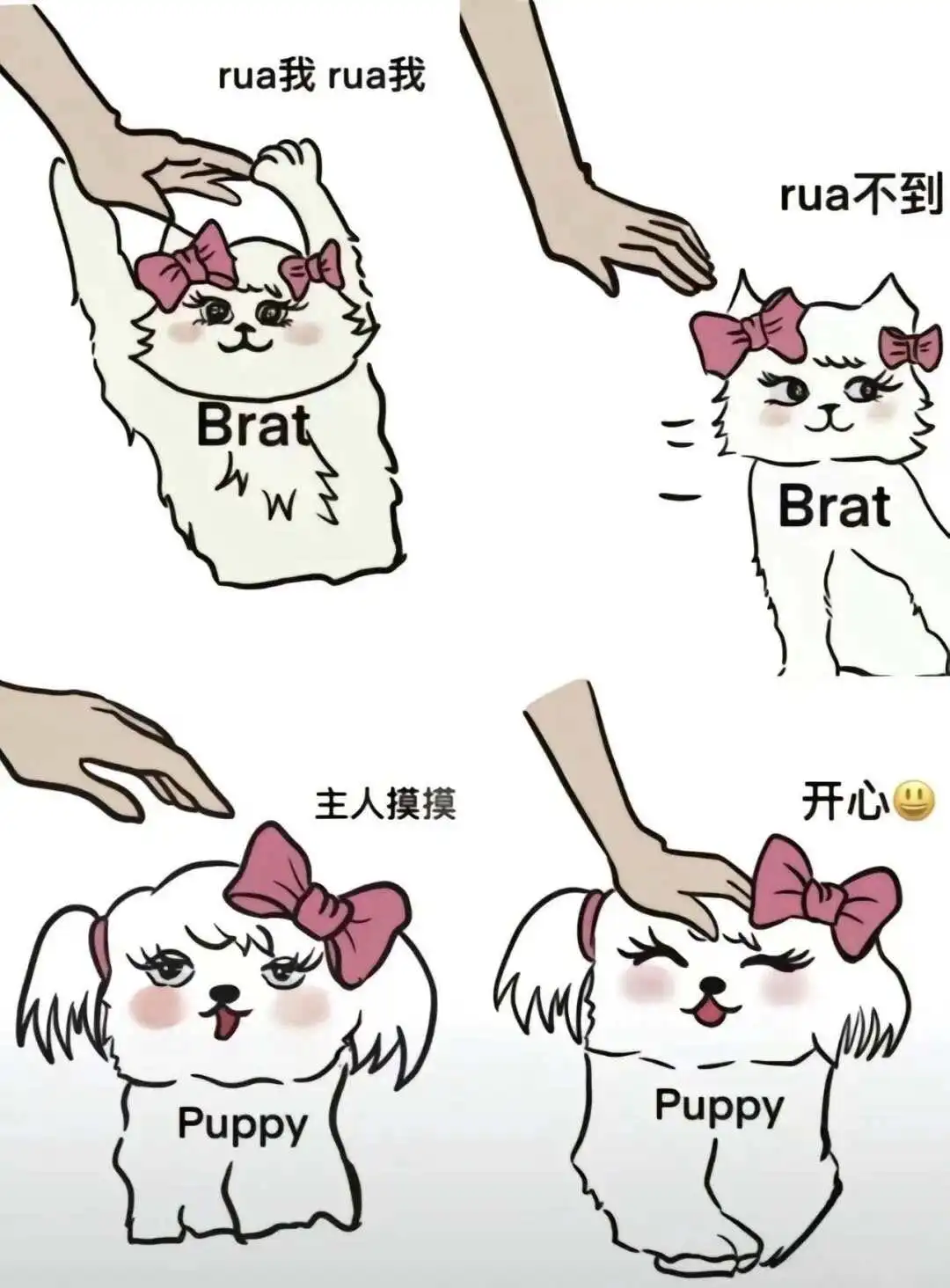 西檬之家-字母圈入门：BDSM核心术语详解与实践指南