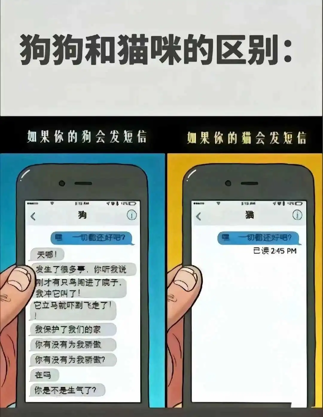 西檬之家-字母圈的BDSM是什么意思？